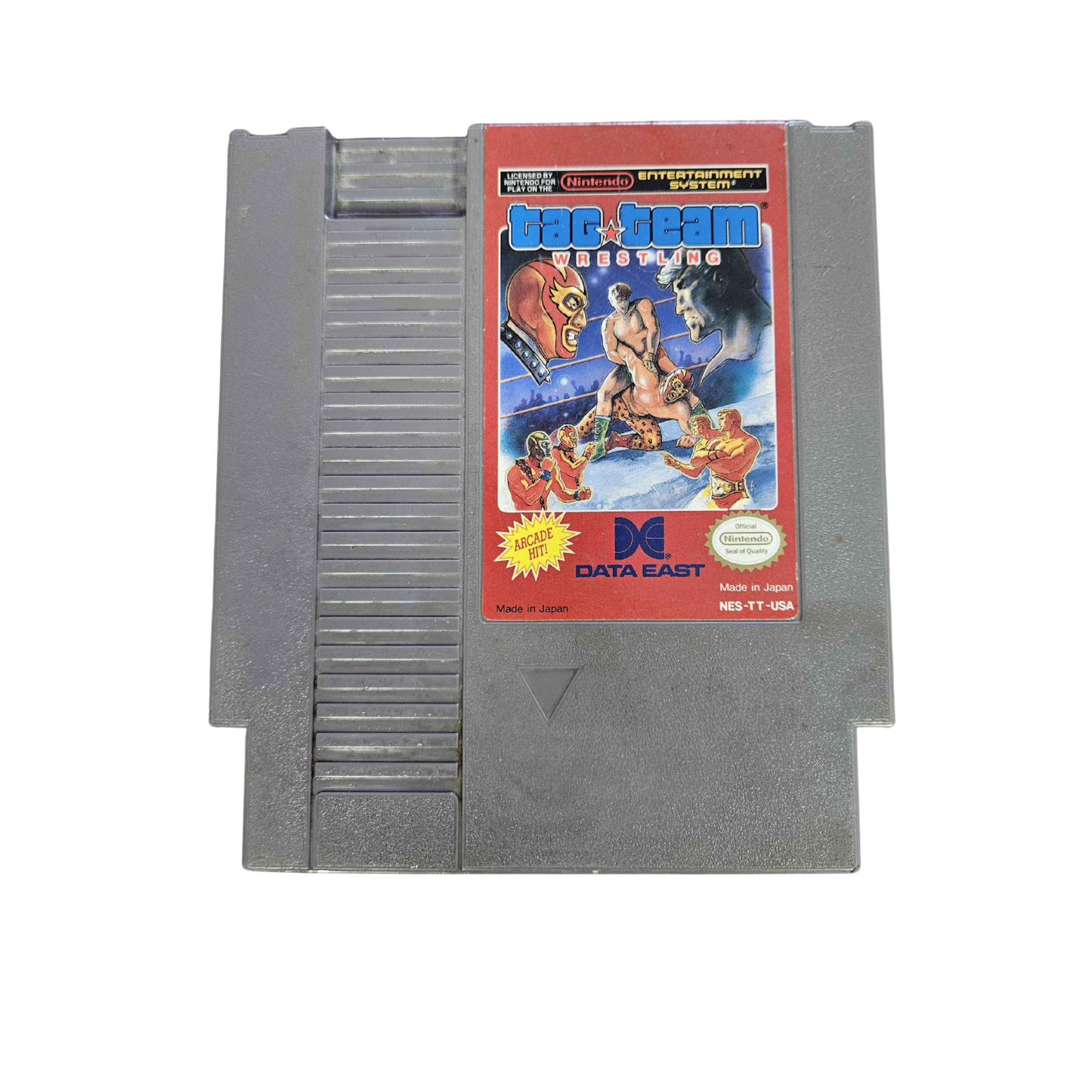Tag Team Wrestling