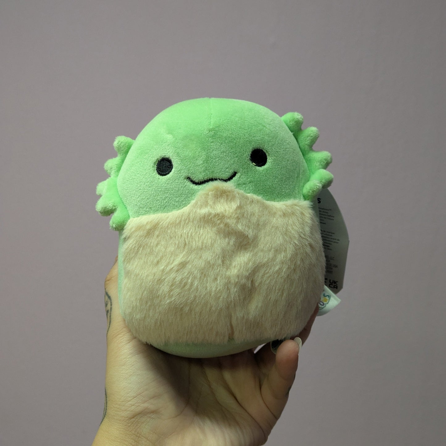 Hand holding a small plush toy with a green head and white body against a gray background